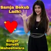 About Samja Bekub Ladki Song